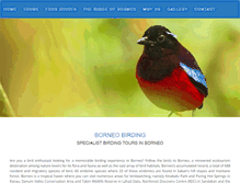 Tablet Screenshot of borneobirding.com
